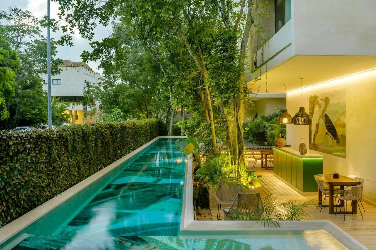 107 Beautiful Apartment Terrace & Private Pool Tulum