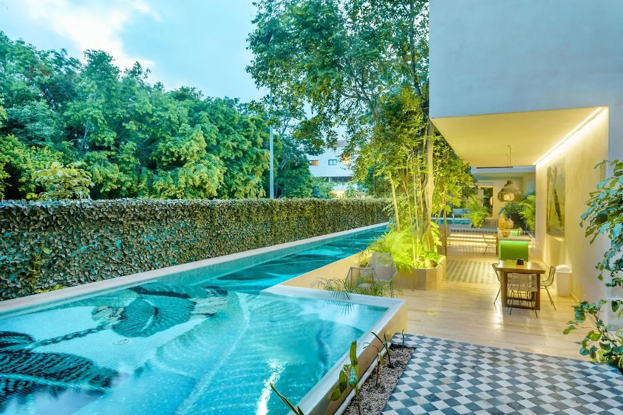 107 Beautiful Apartment Terrace & Private Pool Tulum